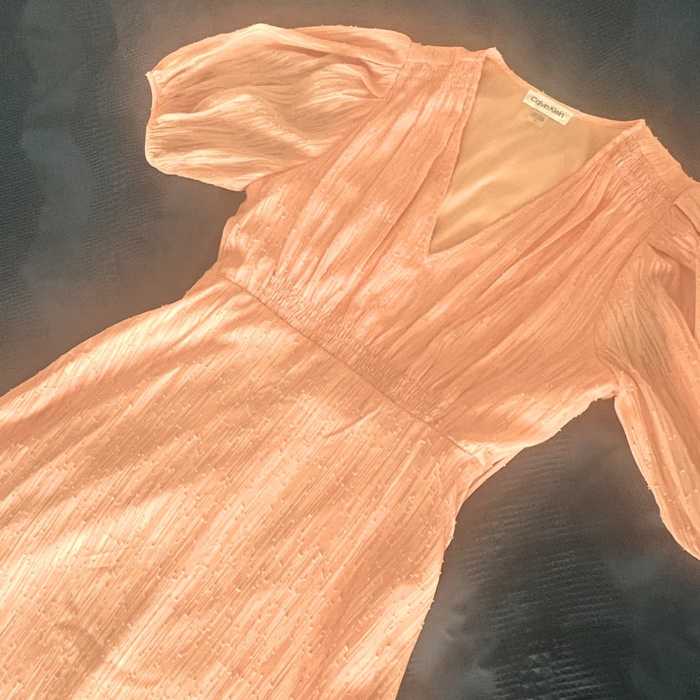 Calvin Klein Chiffon Dress with Side Pleated Ruffle